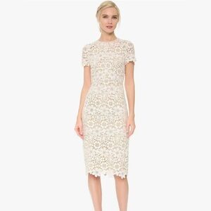 SHOSHANNA Jaipur All Over Lace Midi Lenth Short Sleeves Lined Sz 12